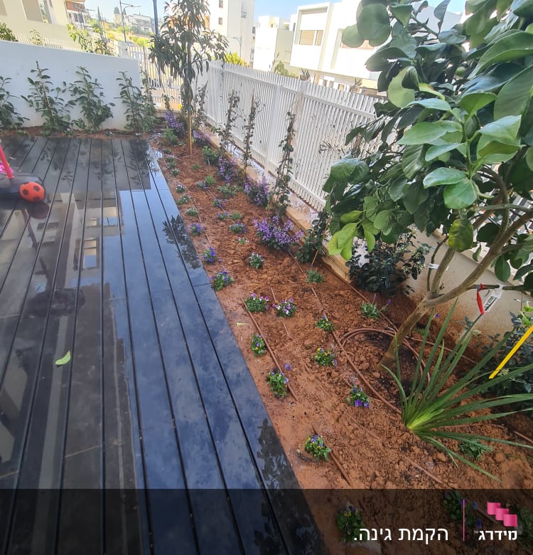 ערוגת פרחים עם שתילים וצינורות השקיה בגינה